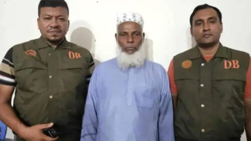 বাবুই পাখির বাসা ধ্বংস ও ছানা হত্যার ঘটনায় প্রধান অভিযুক্ত গ্রেফতার