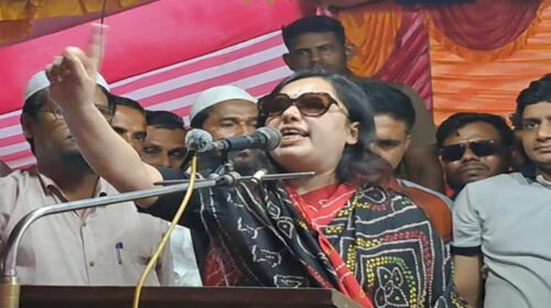 অবৈধ সরকারের ৩০০ এমপির বিরুদ্ধে একাই লড়াই করেছি: রুমিন ফারহানা