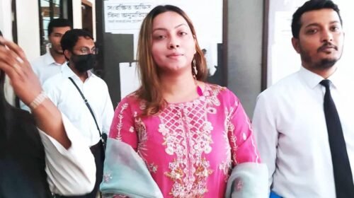 গ্রেফতার নয়, আমাকে ‘অপহরণ’ করা হয়েছিল: মেঘনা আলম