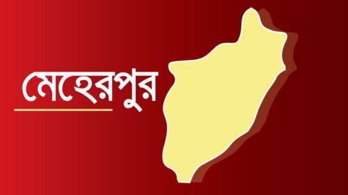 মেহেরপুরে হেরোইনসহ মা-ছেলে আটক