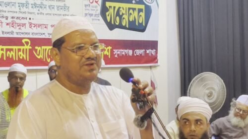 দেশের মানুষ চায় ইসলামি শক্তি ক্ষমতায় আসুক: মুফতি রেজাউল করীম
