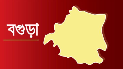 প্রেমের প্রস্তাব প্রত্যাখ্যান করায় বগুড়ায় দাদী ও ভাবিকে হত্যার অভিযোগ