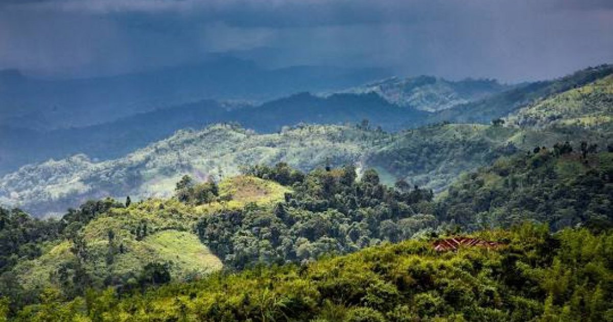 দুর্গম পাহাড়ে সশস্ত্র সন্ত্রাসীদের বিরুদ্ধে সেনাবাহিনীর অভিযান চলছে