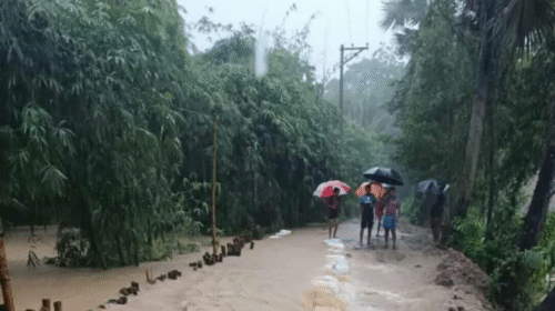 বাঁধ ভেঙে ফেনীর ১৫ গ্রাম প্লাবিত, ১৩১টি আশ্রয়কেন্দ্র চালু