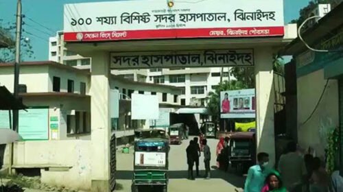 ঝিনাইদহে পিকআপের ধাক্কায় নিহত নারী