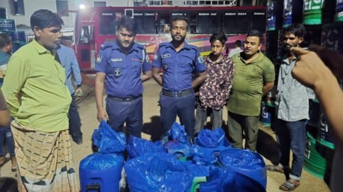 কাপ্তাই হ্রদের মাছ পাচারের সময় যাত্রীবাহী বাসসহ জব্দ