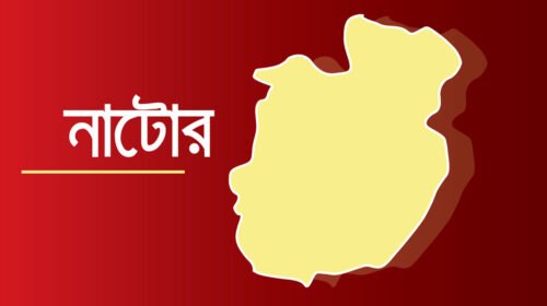 নাটোরে আইসক্রিম কিনে ফেরার পথে ট্রাক চাপায় শিশু নিহত