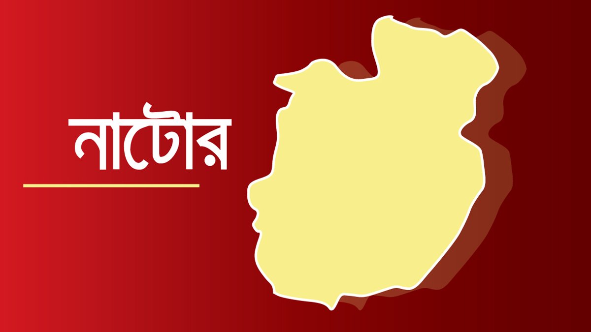 নাটোরে আইসক্রিম কিনে ফেরার পথে ট্রাক চাপায় শিশু নিহত