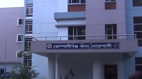নোয়াখালীতে সাপের কামড়ে শিশুর মৃত্যু