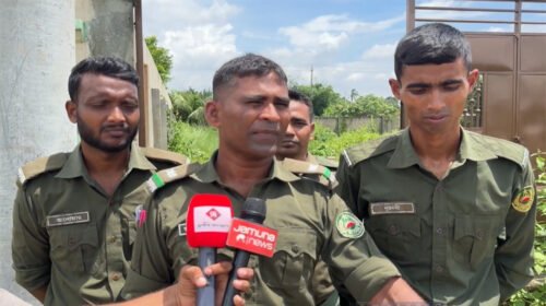 পূর্বাচলে গোপনে ঘোড়া জবাই, একজনকে কারাদণ্ড