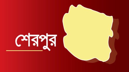 শেরপুরে নিখোঁজের তিনদিন পর স্কুলছাত্রীর মরদেহ উদ্ধার