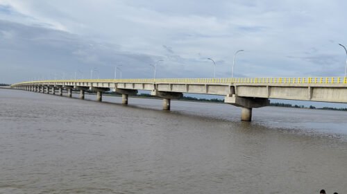 উদ্বোধনের এক দিন পরই মওলানা ভাসানী সেতুর ল্যাম্পপোস্টের তার চুরি