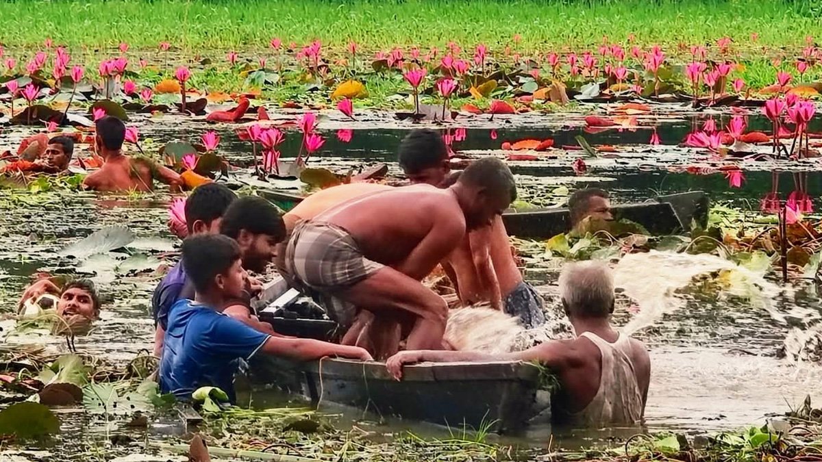 গাজীপুরে শাপলা তুলতে গিয়ে নৌকা ডুবে দুই বন্ধুর মৃত্যু গাজীপুরে শাপলা তুলতে গিয়ে নৌকা ডুবে দুই বন্ধুর মৃত্যু