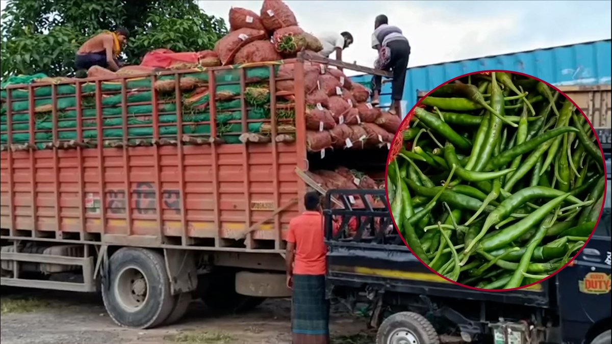 বেড়েছে কাঁচামরিচ আমদানি