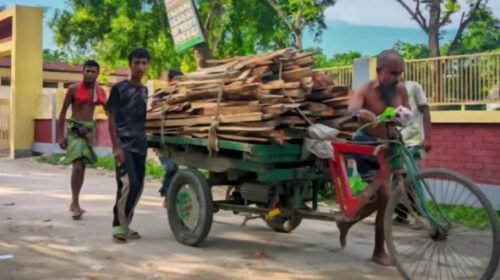 শেরপুরে কাঠবোঝাই ভ্যান উল্টে দাদা-নাতি নিহত