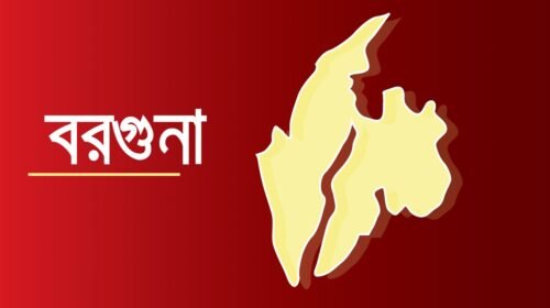 বরগুনায় অটোরিকশাচালকের মরদেহ উদ্ধার