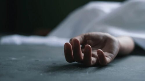 মাদারীপুরে পুকুরে ডুবে দুই ভাইয়ের মৃত্যু