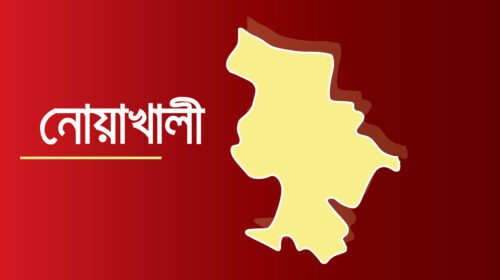 নোয়াখালীতে ট্রাকের ধাক্কায় ২ যুবকের মৃত্যু