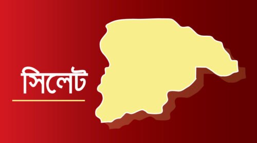 বিজিবির ওপর হামলা চোরাকারবারিদের; গুলিবিদ্ধ ১ সদস্য, আটক ৩২ গরু