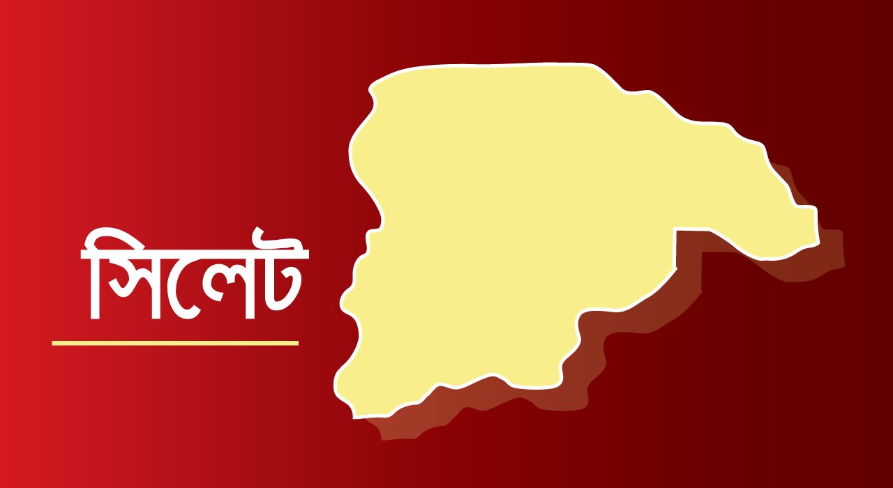 বিজিবির ওপর হামলা চোরাকারবারিদের; গুলিবিদ্ধ ১ সদস্য, আটক ৩২ গরু