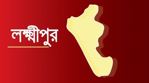 লক্ষ্মীপুরে চাচীকে হত্যার অভিযোগে ভাতিজা আটক