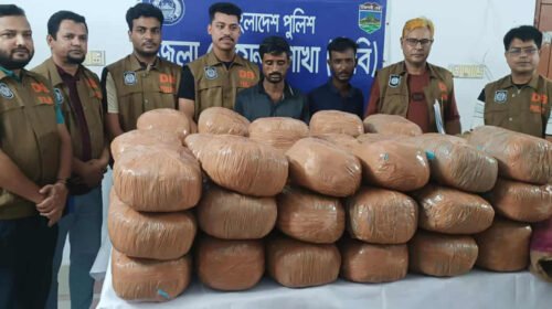 নাটোরে বাস ও ট্রাক তল্লাশি করে বিপুল পরিমাণ মাদকদ্রব্য জব্দ, গ্রেফতার ৪