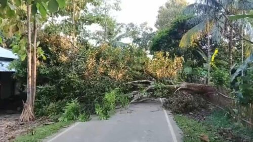 খাগড়াছড়ির দীঘিনালায় গাছ ফেলে সড়ক অবরোধ