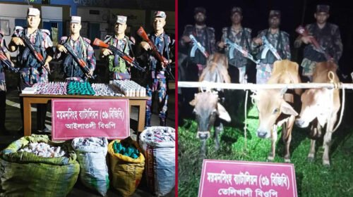 শেরপুর সীমান্তে বিপুল ভারতীয় ওষুধ, মাদক ও ৭ চোরাই গরু আটক