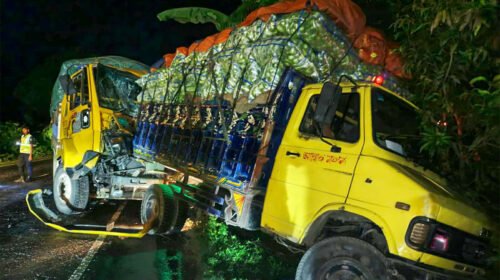 রাজবাড়ীতে থেমে থাকা পিকআপের পেছনে ট্রাকের ধাক্কা, চালক-সহকারী নিহত