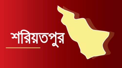 ২০ যাত্রী নিয়ে কীর্তিনাশা নদীতে যাত্রীবাহী ট্রলারডুবি
