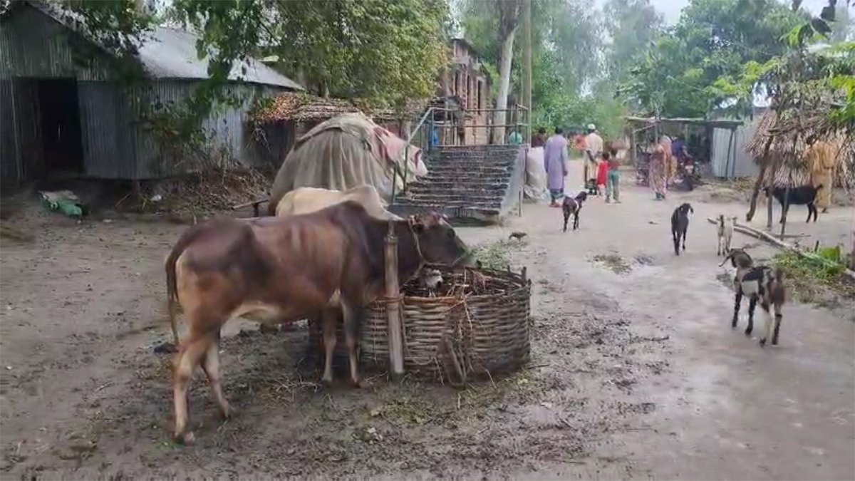 গাইবান্ধায় অ্যানথ্রাক্স উপসর্গ নিয়ে গৃহবধূর মৃত্যু
