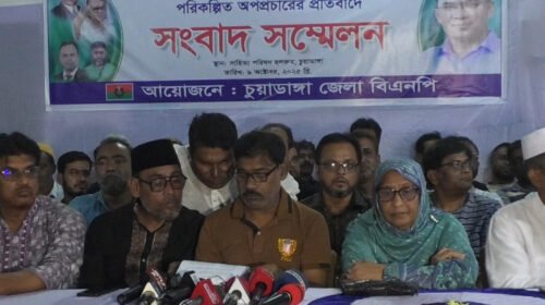 ‘যেখানে বিএনপির মাঠ ভালো, সেখানে বিষোদগার করা হচ্ছে’