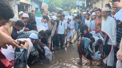 সড়কে মাছ ছেড়ে হাসনাতের প্রতিবাদ 