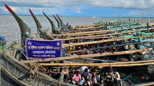 মা ইলিশ সংরক্ষণে নৌবাহিনীর অভিযান, ১১ ট্রলারসহ আটক ২৩৫ জেলে