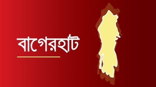 সুন্দরবনে কুমির টেনে নিয়ে গেলো জেলেকে, ৫ ঘণ্টায়ও খোঁজ মেলেনি