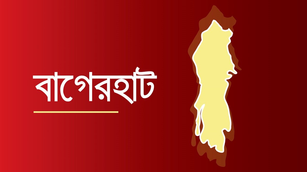 সুন্দরবনে কুমির টেনে নিয়ে গেলো জেলেকে, ৫ ঘণ্টায়ও খোঁজ মেলেনি