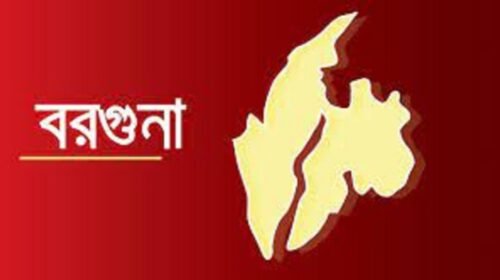 বরগুনায় নিজ ঘর থেকে যুবকের অর্ধগলিত মরদেহ উদ্ধার