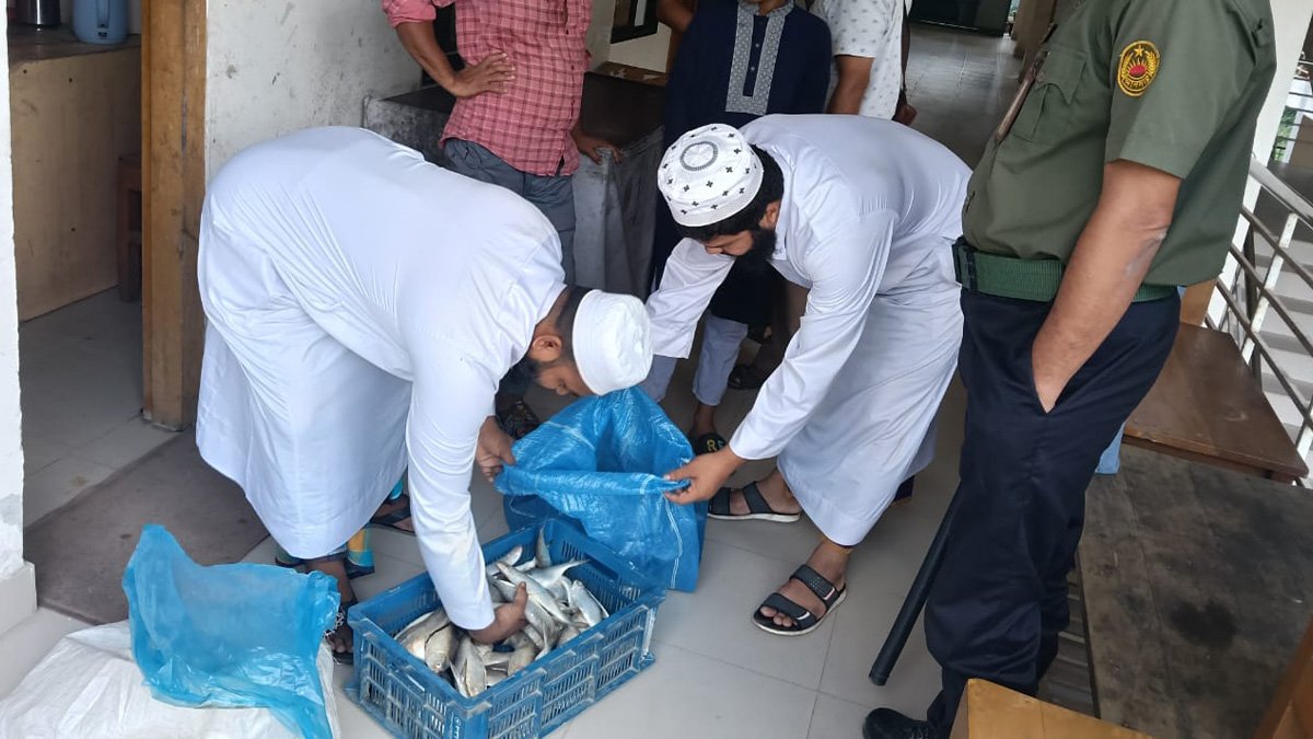 ইলিশ কেনার সময় আটক ৫ ক্রেতা, অর্থদণ্ডে মুক্তি