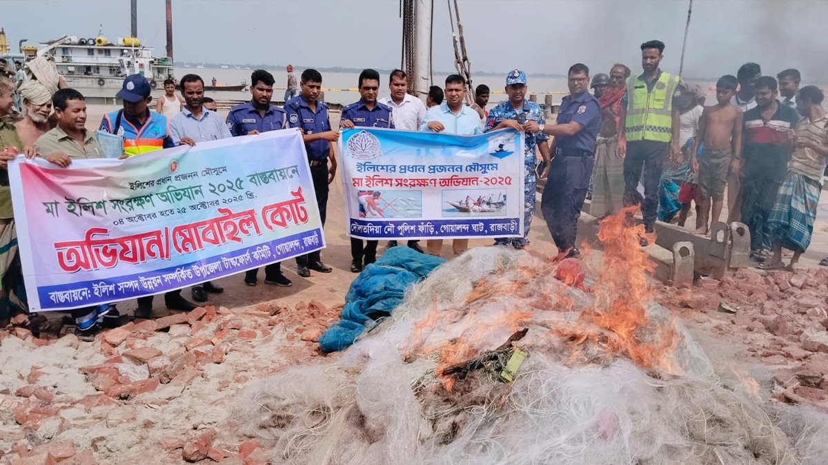 মাছ এতিমখানায়, নৌকা নিলামে বিক্রি
