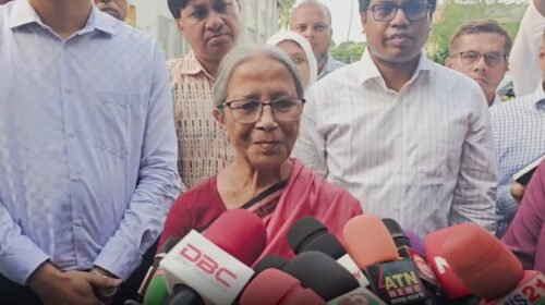 ইলিশ রক্ষায় ড্রোন দিয়ে কাজ করবে বিমান বাহিনী: মৎস্য উপদেষ্টা 