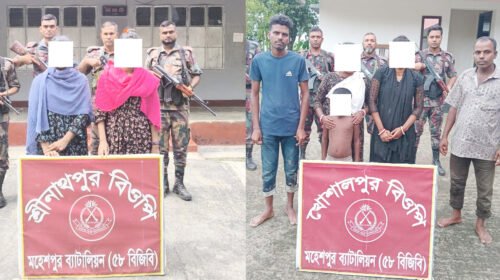 মহেশপুর সীমান্ত দিয়ে অবৈধভাবে ভারতে যাওয়ার চেষ্টা, আটক ৭