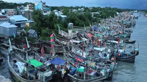 পটুয়াখালীতে ইলিশসহ সব ধরনের মাছ আহরণ ২২ দিন বন্ধ ঘোষণা