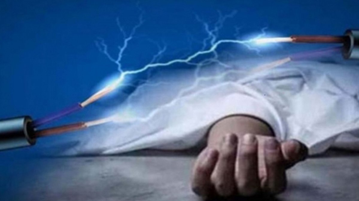 নেত্রকোণায় নারিকেল গাছে উঠে বিদ্যুৎস্পৃষ্টে মাদরাসা ছাত্রের মৃত্যু