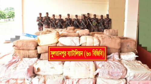 কসবায় বিজিবির অভিযানে ৮ কোটি টাকার ভারতীয় পণ্য জব্দ