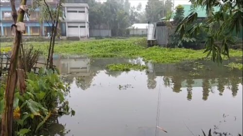 লালমনিরহাট-রংপুরে প্লাবন পরিস্থিতির কিছুটা উন্নতি