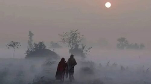 চার বিভাগসহ ১২ জেলায় বইছে শৈত্যপ্রবাহ