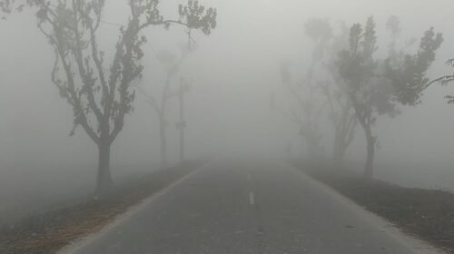 তেঁতুলিয়ায় শীতে বিপর্যস্ত জনজীবন, ৬ ডিগ্রিতে নেমেছে তাপমাত্রা