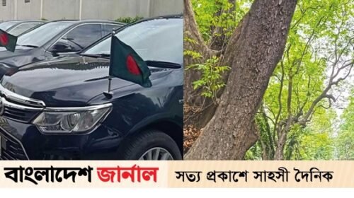 নতুন মন্ত্রীদের জন্য প্রস্তুত ৩৭ গাড়ি ও ৩৬ বাংলোবাড়ি–অ্যাপার্টমেন্ট